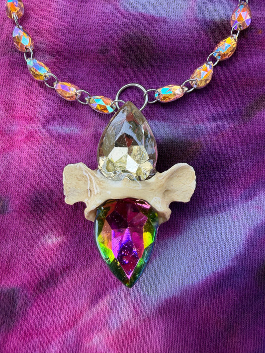 Creature of Chaos - Glass Crystal Choker w/ Fox Vertebrae (Copy)
